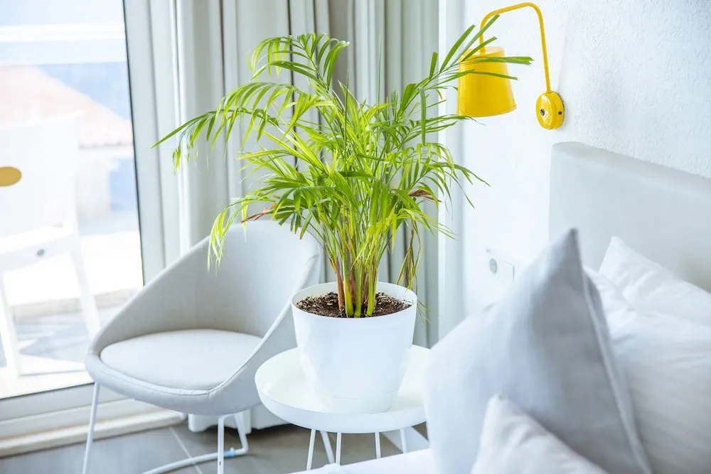 Standard Tek Büyük veya İki Ayrı Yataklı Oda, Balkon, Kısmi Deniz Manzaralı
