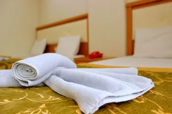 Hotel Büyük Paris