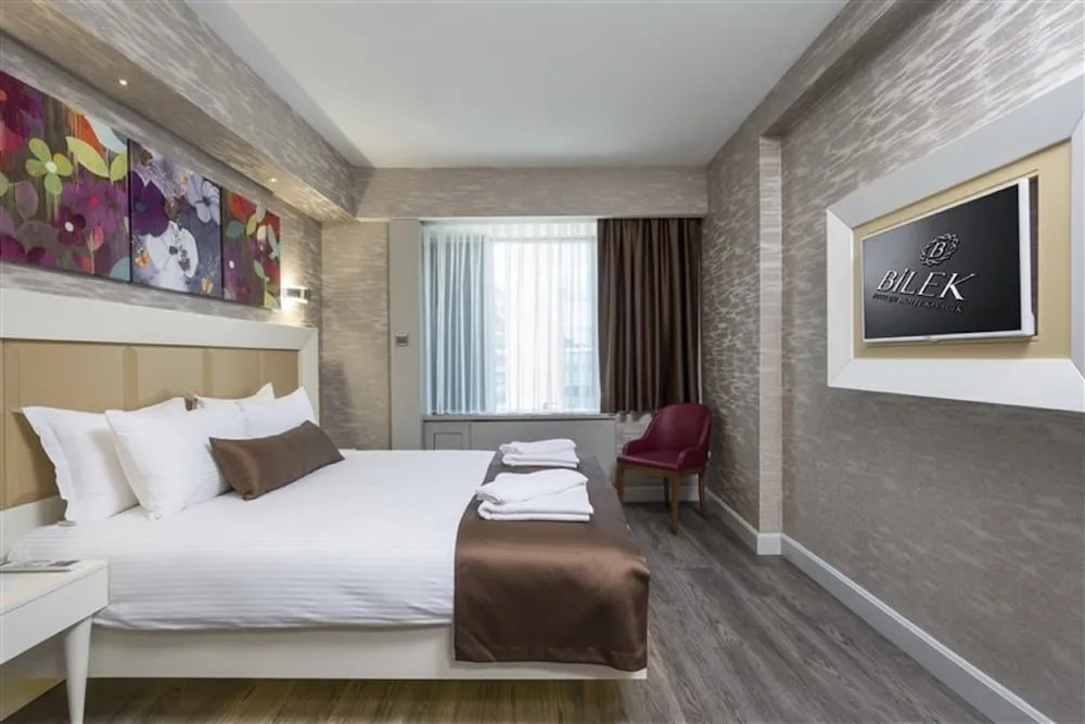 Luxury Tek Büyük Yataklı Oda, Şehir Manzaralı