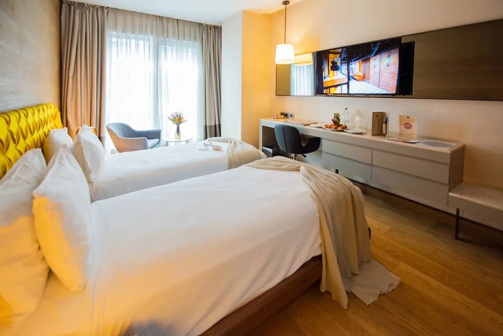 Executive İki Ayrı Yataklı Oda, 1 Yatak Odası, Şehir Manzaralı