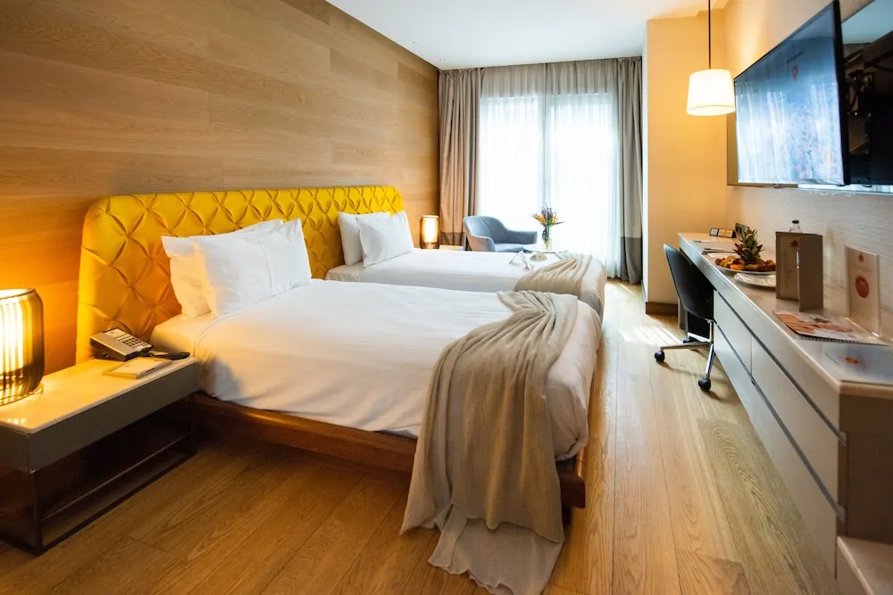 Executive İki Ayrı Yataklı Oda, 1 Yatak Odası, Şehir Manzaralı