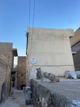 Mardin Merkez