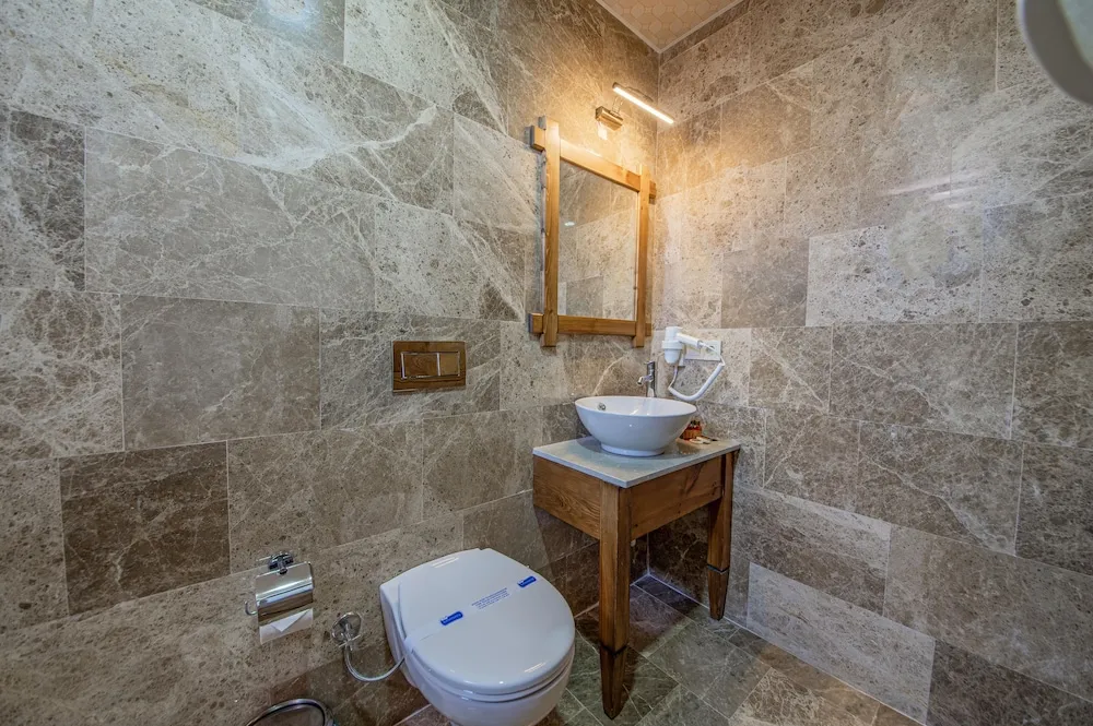 Deluxe Oda, 1 Yatak Odası