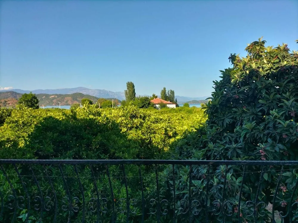 Comfort Stüdyo, Balkon, Bahçe Manzaralı