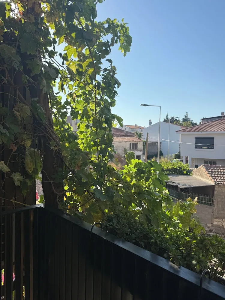 Tek Büyük Yataklı Oda, 1 Büyük (Queen) Boy Yatak, Şehir Manzaralı