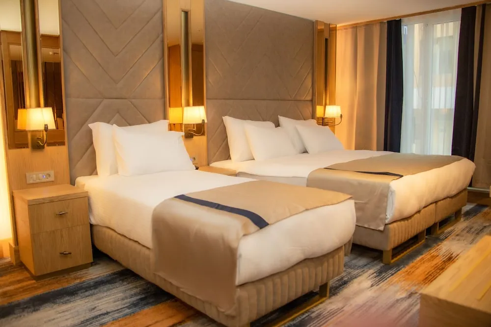 Standard 1 King Bed and 1 Twin Bed Room