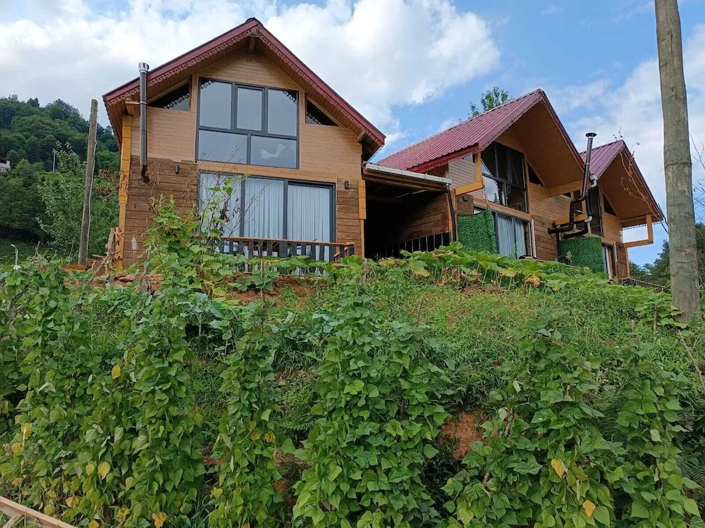 Standard Dağ Evi