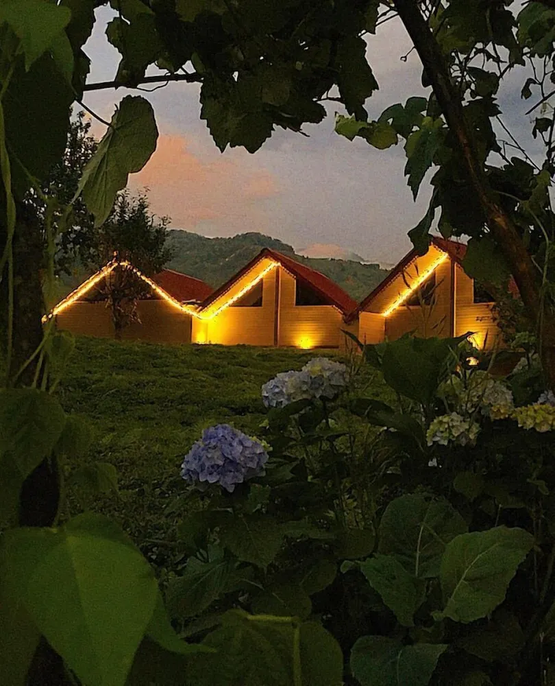 Standard Dağ Evi