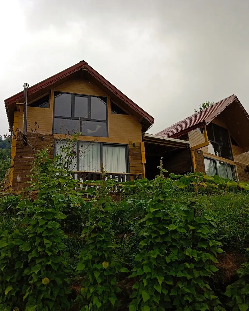 Standard Dağ Evi