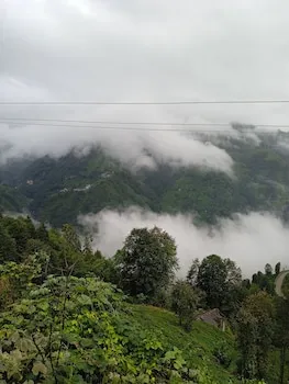 Dikkaya Köyü Yolu