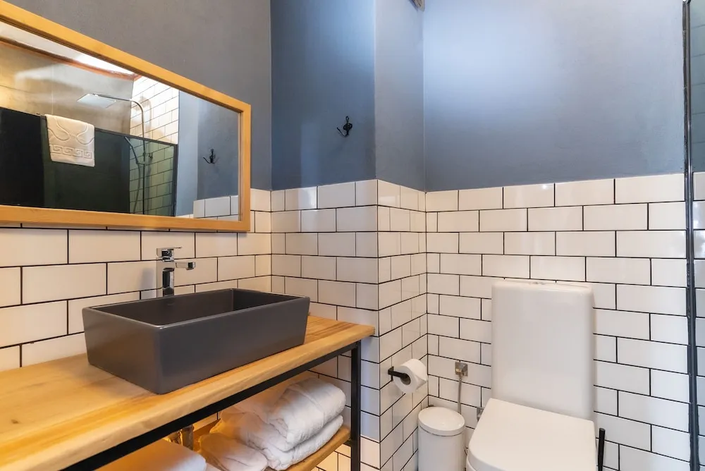 Standard Tek Büyük veya İki Ayrı Yataklı Oda, 1 Yatak Odası