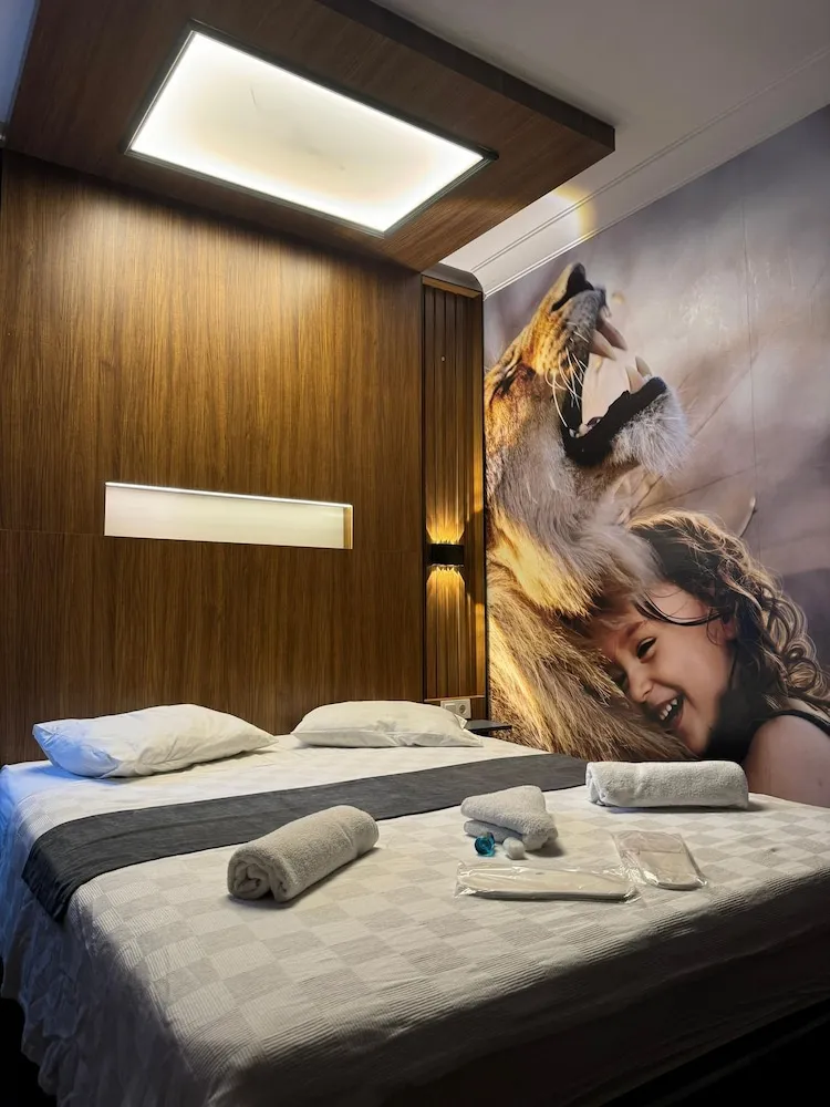 Deluxe Büyük Yataklı Tek Kişilik Oda