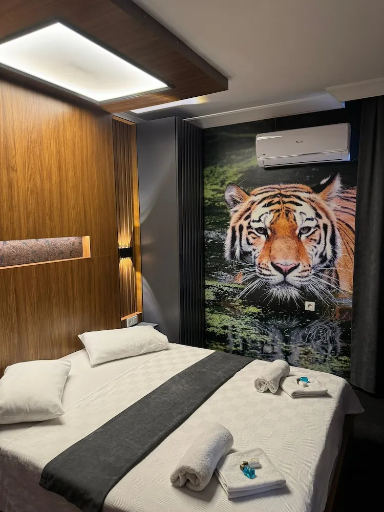 Deluxe Büyük Yataklı Tek Kişilik Oda