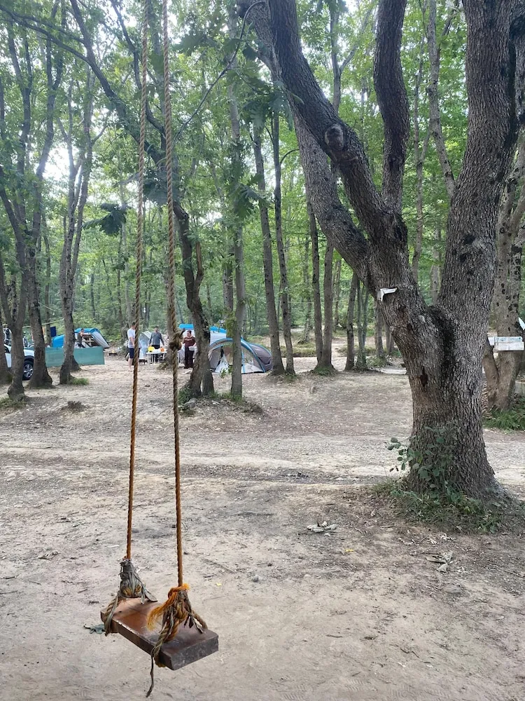 Basic Kulübe, Bahçe Manzaralı