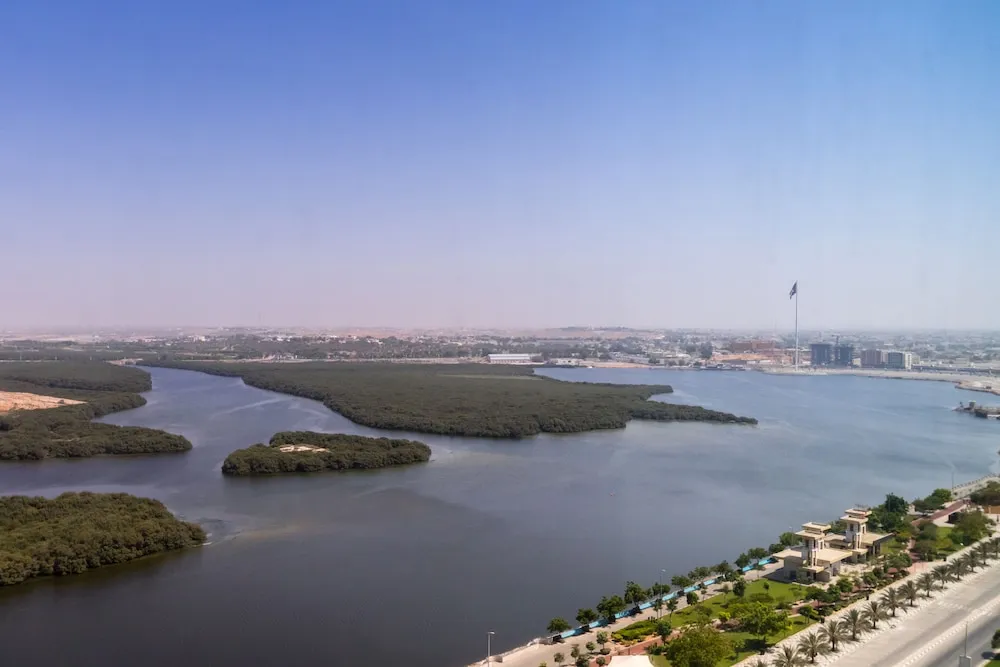 Suite King or Twin Mangrove View