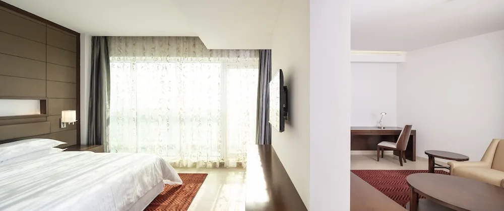 Presidential Süit, 1 Yatak Odası, Şehir Manzaralı