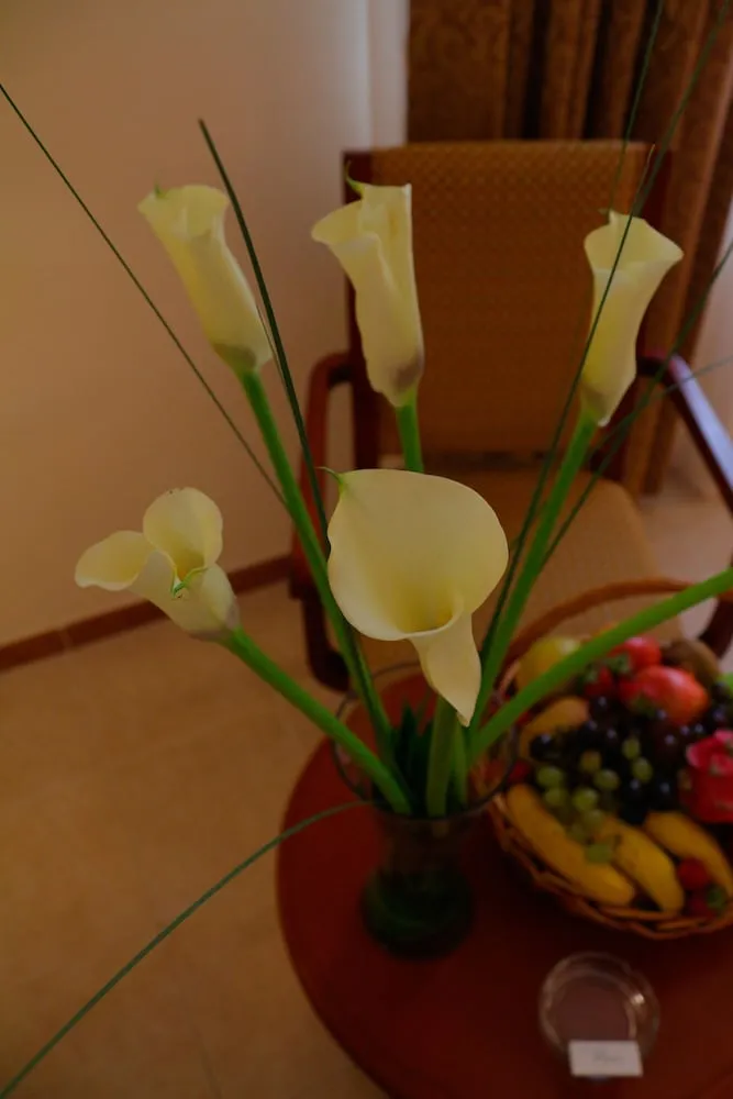 Deluxe Room with Pool View