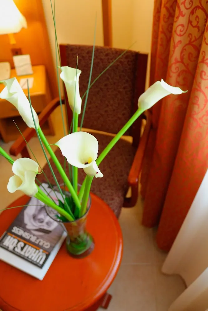 Standard Tek Büyük Yataklı Oda, 1 Çift Kişilik Yatak