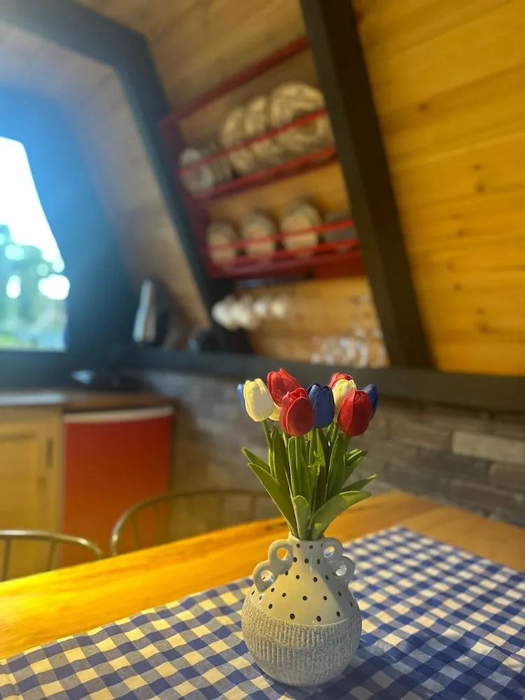 Standard Dört Kişilik Oda, Dağ Manzaralı