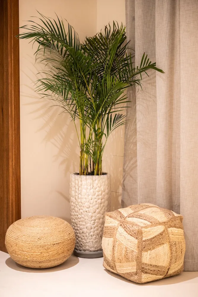 Boho Oasis Suite