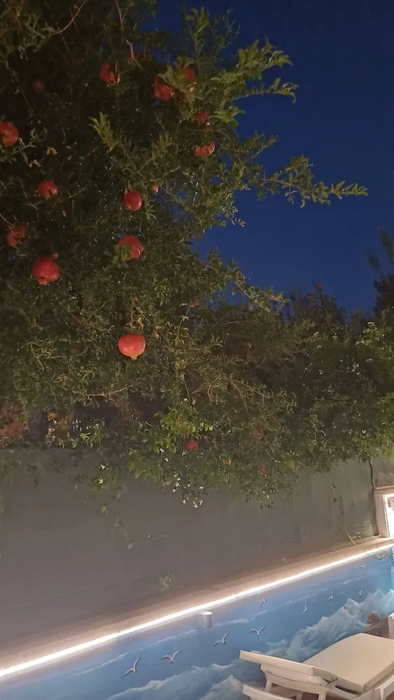 Family Üç Kişilik Oda, Bahçe Manzaralı