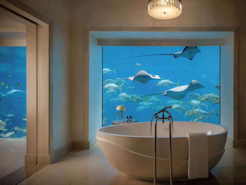 Underwater Suite