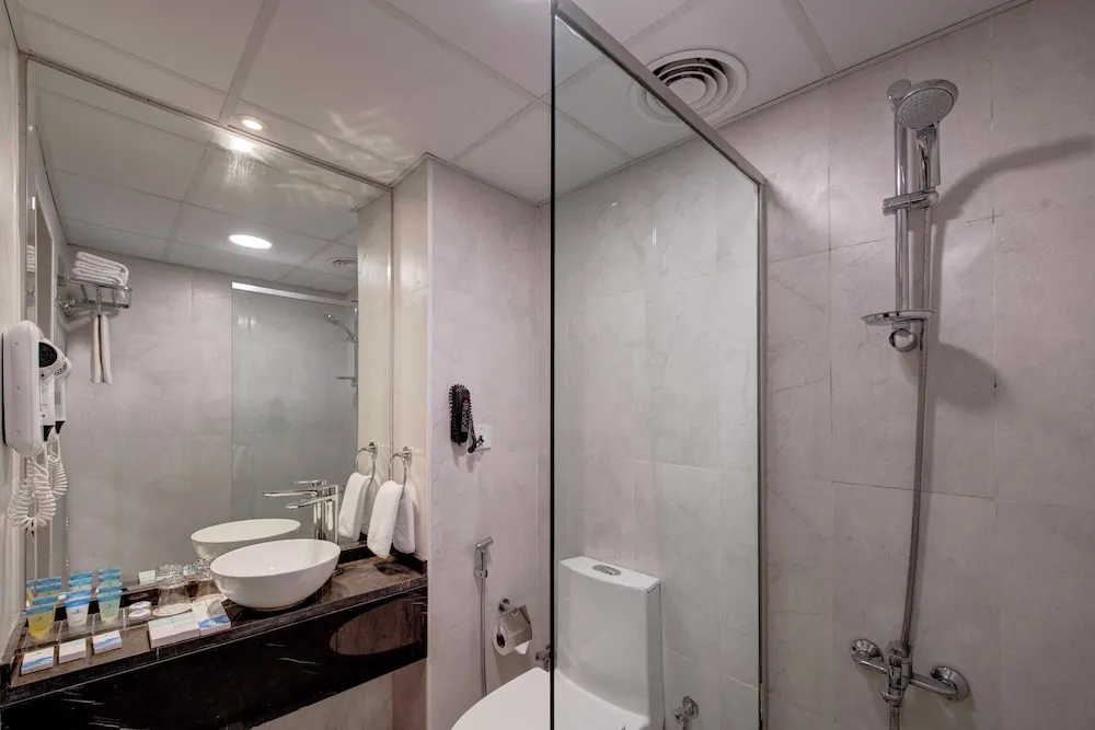 Executive Tek Büyük veya İki Ayrı Yataklı Oda