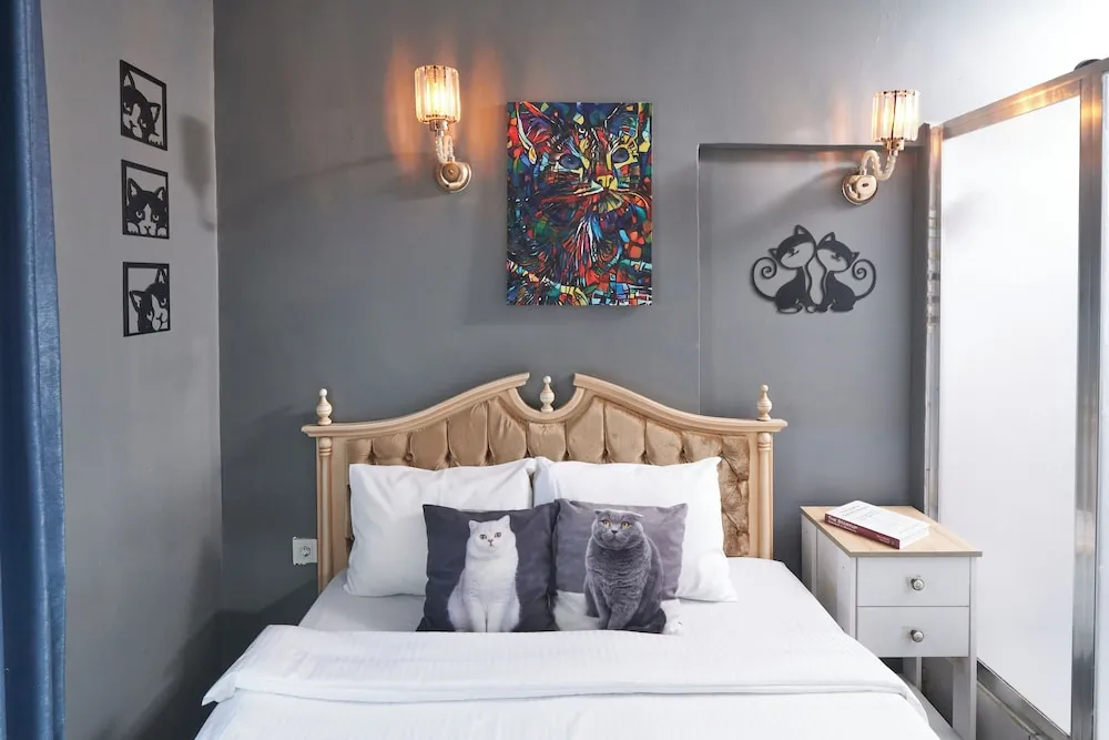 Deluxe Double Room, City View