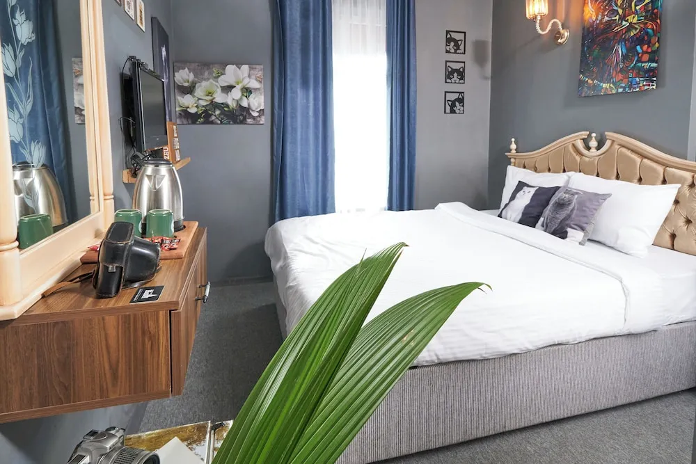 Deluxe Double Room, City View