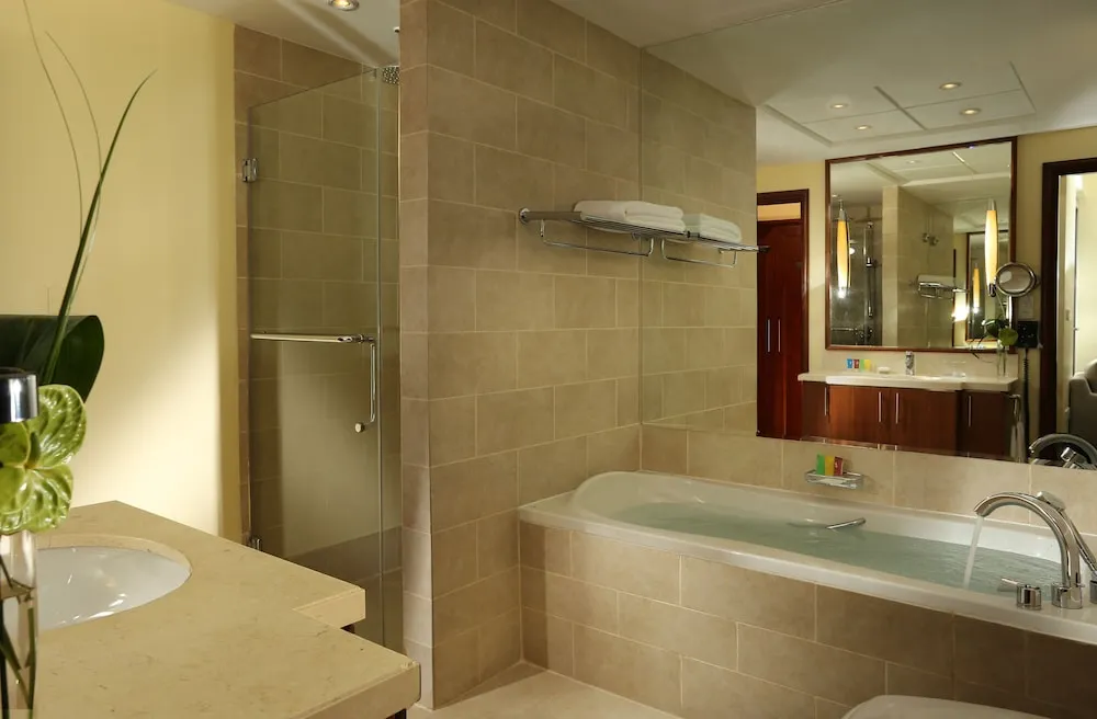 Premium Oda, 1 Yatak Odası, Sigara İçilmez (Downtown View)