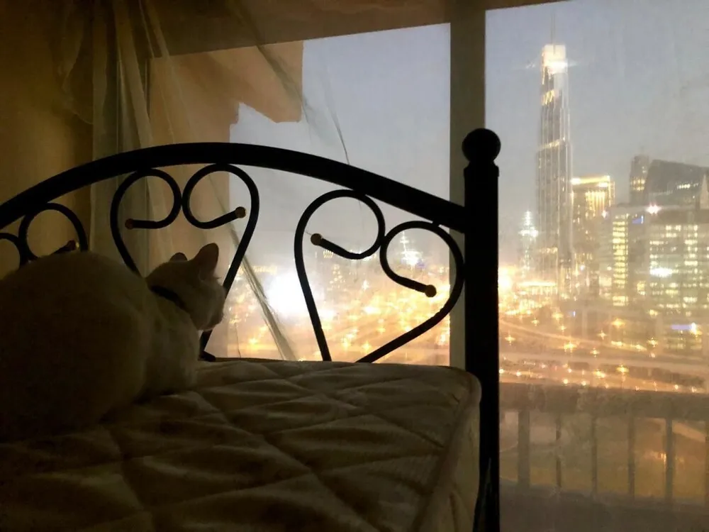 Ortak Ranzalı Oda, Karma Ranzalı Oda, Şehir Manzaralı (1 Bed in 4 Bed Dorm)