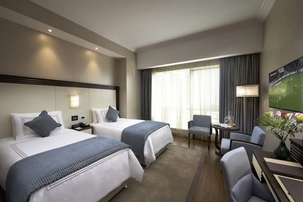 Deluxe İki Ayrı Yataklı Oda, 2 Tek Kişilik Yatak, Şehir Manzaralı