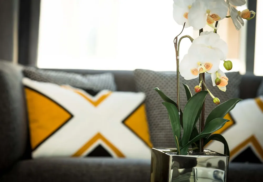 Luxury Apart Daire, 2 Yatak Odası