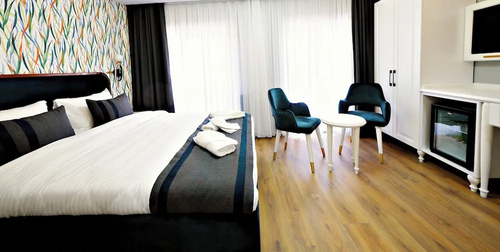 Deluxe Tek Büyük Yataklı Oda, 1 Büyük (Queen) Boy Yatak, Şehir Manzaralı