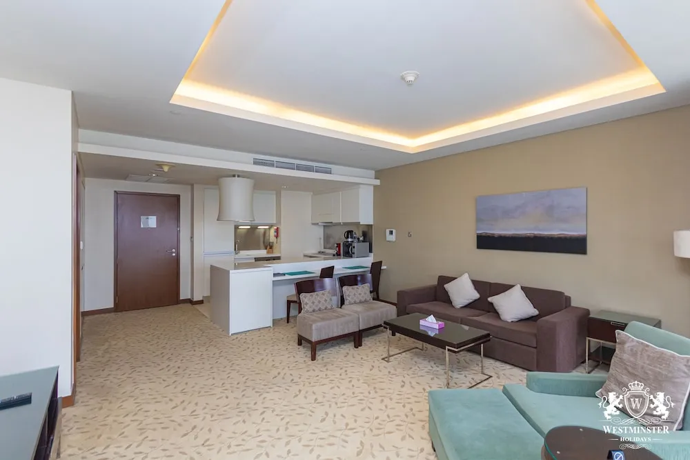 Large One Bedroom Apartment