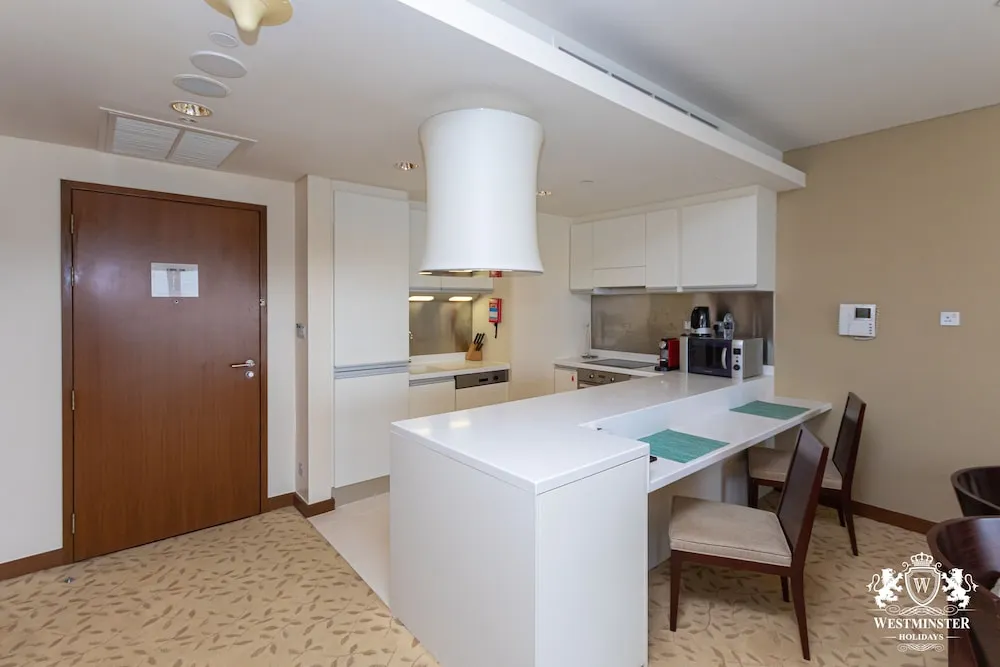 Large One Bedroom Apartment