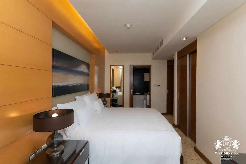 Large One Bedroom Apartment
