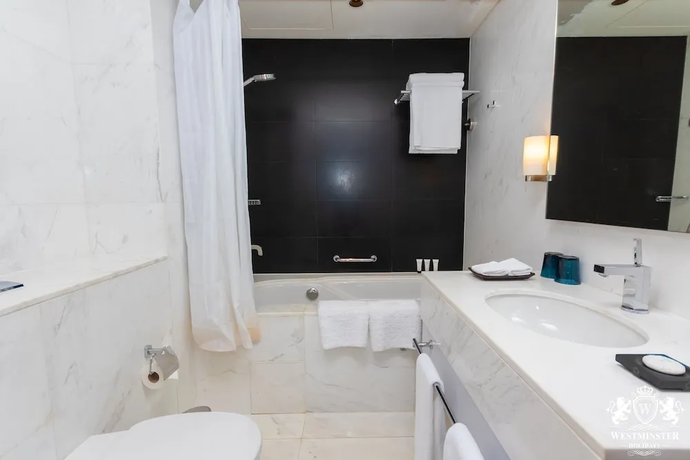 Large One Bedroom Apartment