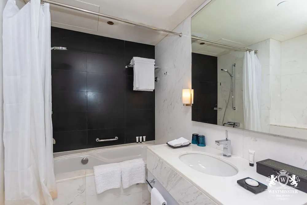 Large One Bedroom Apartment