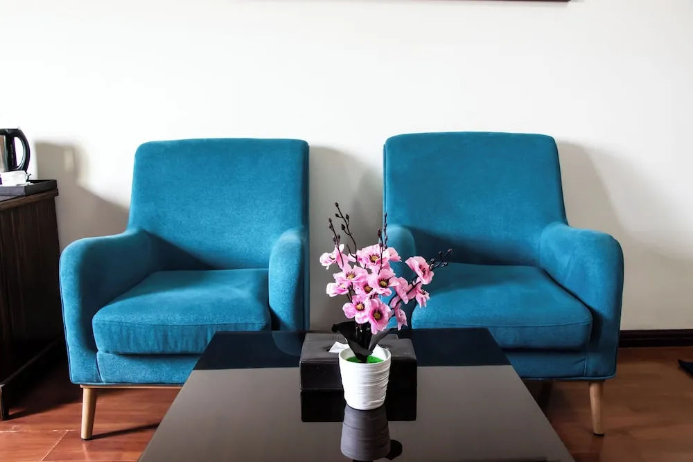 Superior Tek Büyük veya İki Ayrı Yataklı Oda