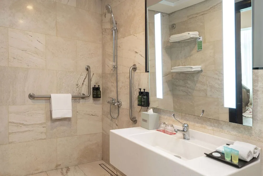 Oda, 1 En Büyük (King) Boy Yatak, Engellilere Uygun, Sigara İçilebilir (Walk-In-Shower)