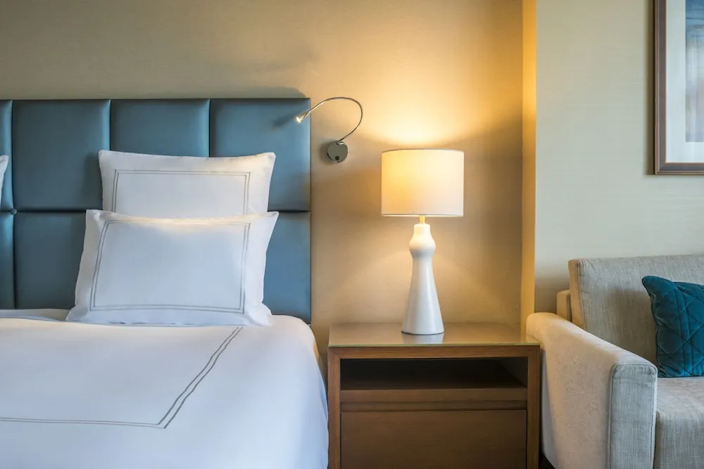 Deluxe Oda, 2 Tek Kişilik Yatak, Şehir Manzaralı