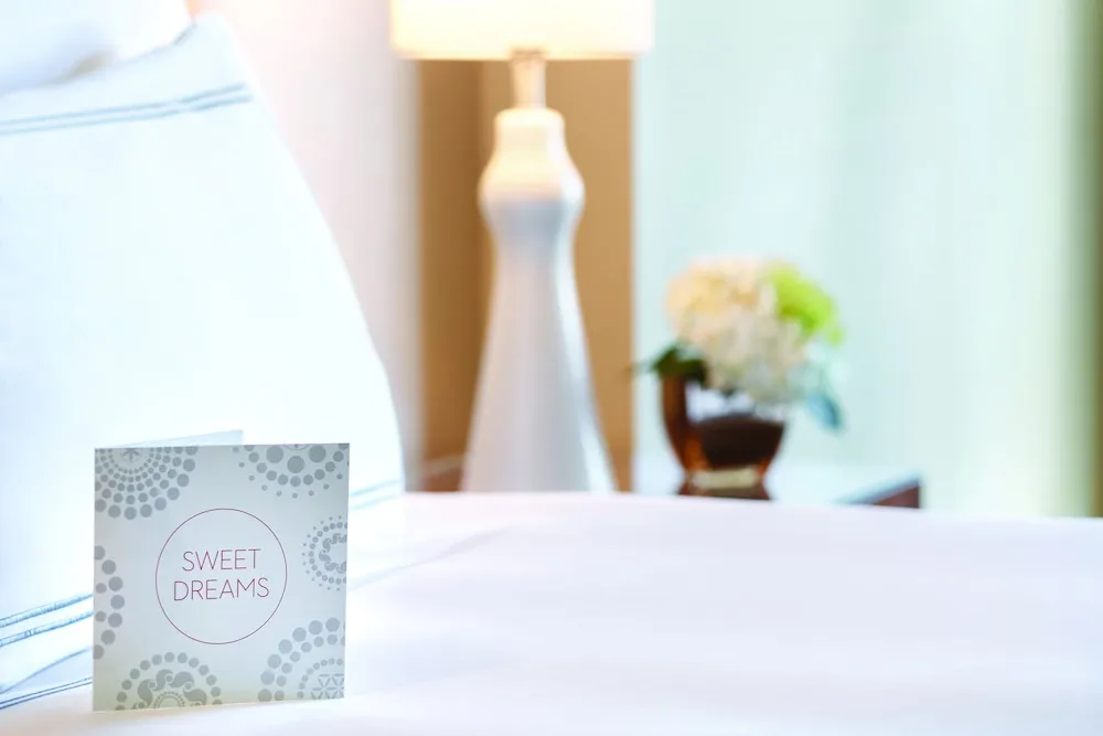 Deluxe Oda, 2 Tek Kişilik Yatak, Şehir Manzaralı