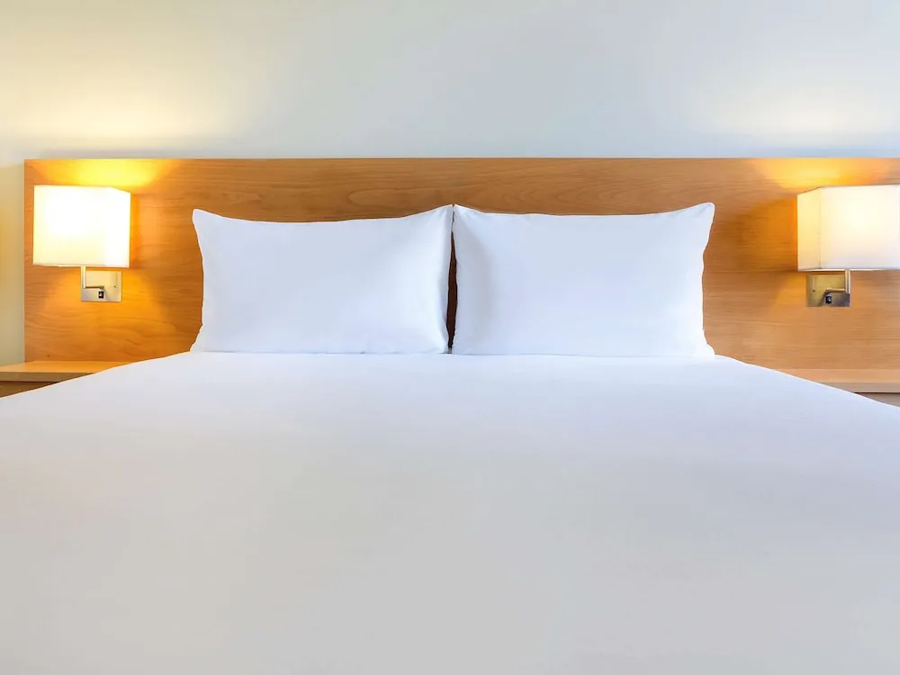 Standard Tek Büyük Yataklı Oda, 1 Çift Kişilik Yatak