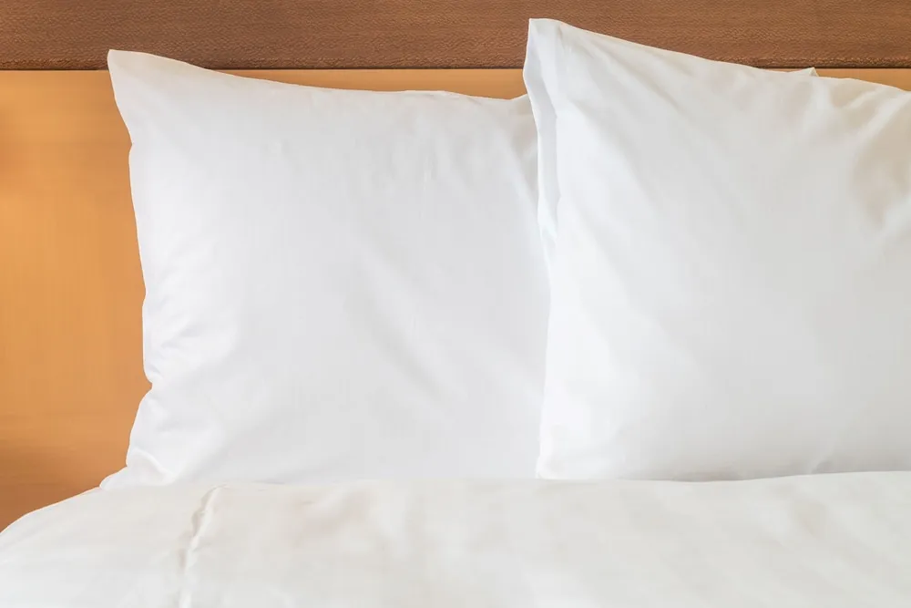 Oda, 2 Tek Kişilik Yatak, Sigara İçilmez (Smart Room)
