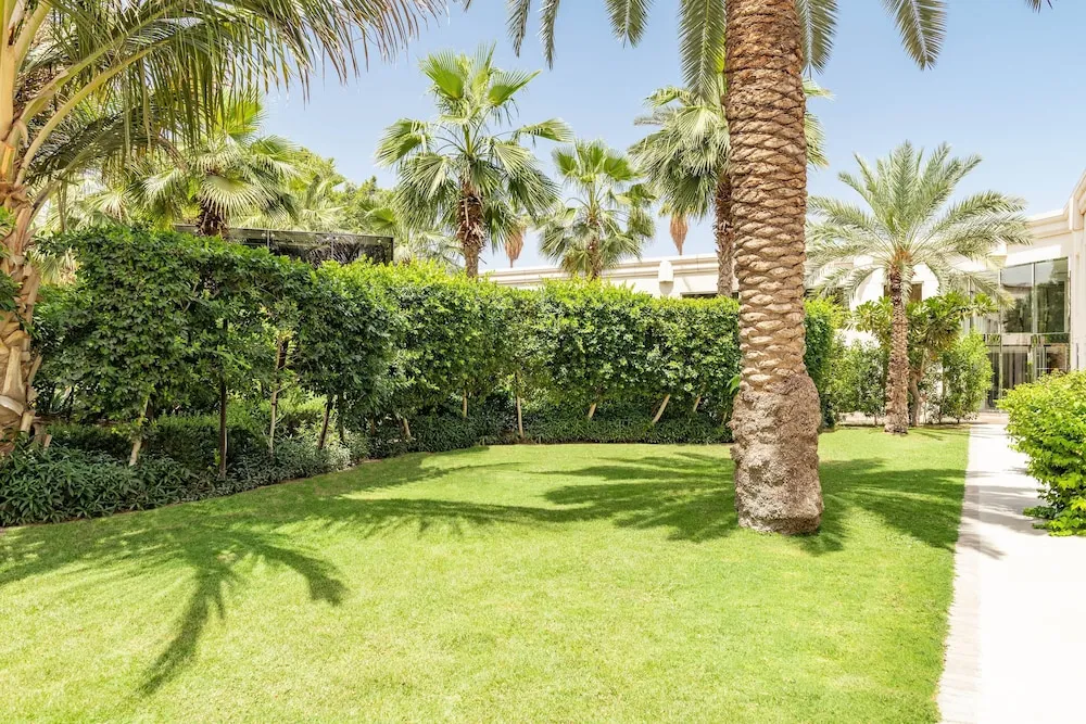 Executive Oda, 1 Çift Kişilik Yatak