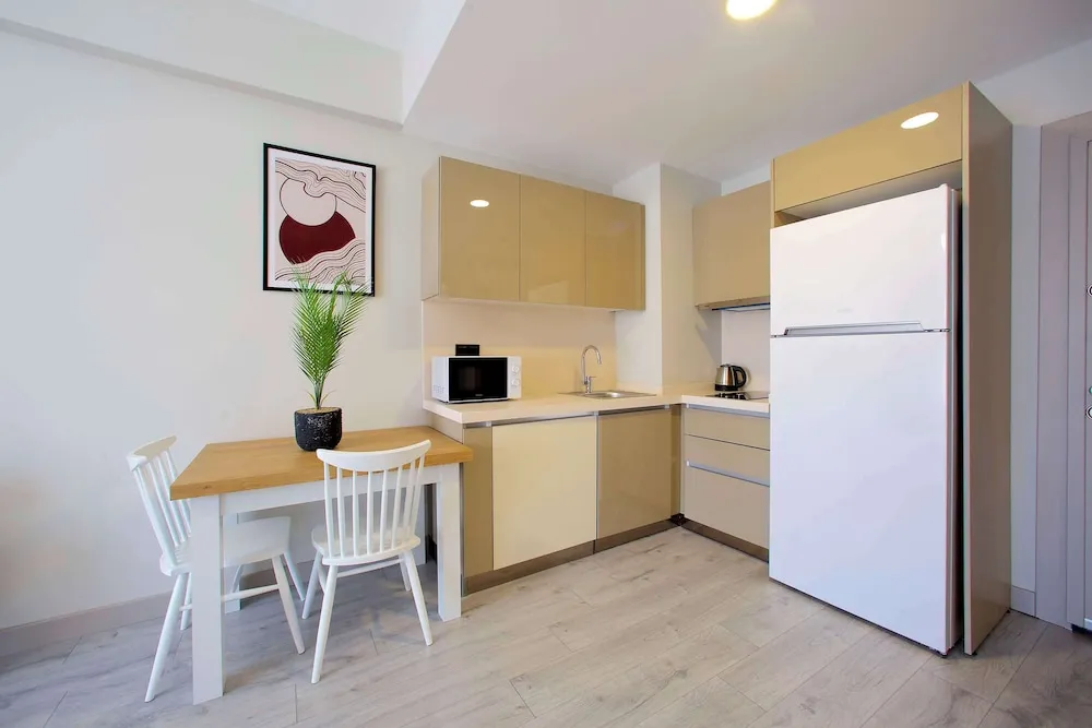 Standard Apart Daire, 1 En Büyük (King) Boy Yatak, Sigara İçilmez, Küçük Mutfak (with Sofabed)