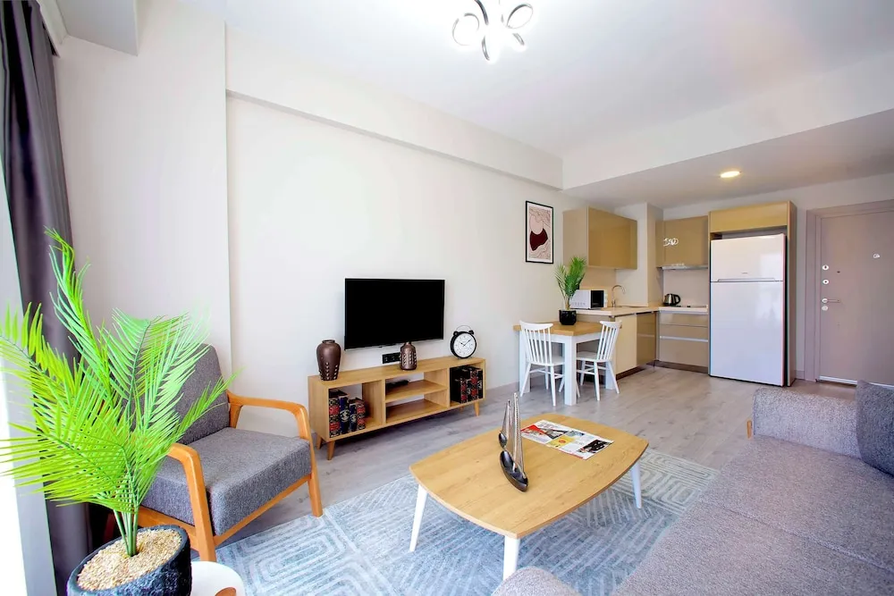Standard Apart Daire, 1 En Büyük (King) Boy Yatak, Sigara İçilmez, Küçük Mutfak (with Sofabed)