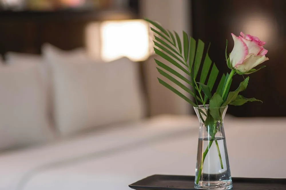 Deluxe Oda, 1 En Büyük (King) Boy Yatak, Sigara İçilmez