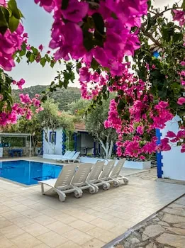 Pineloft Selimiye